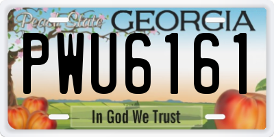 GA license plate PWU6161