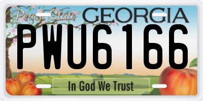 GA license plate PWU6166