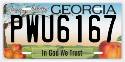 GA license plate PWU6167