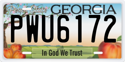 GA license plate PWU6172