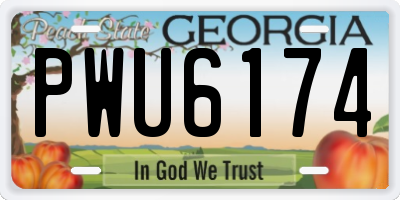 GA license plate PWU6174