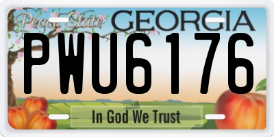 GA license plate PWU6176