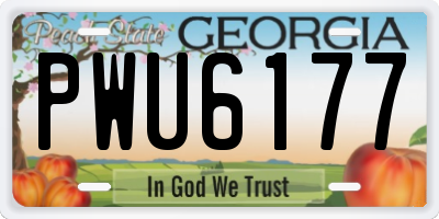 GA license plate PWU6177