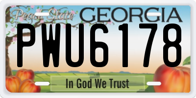 GA license plate PWU6178
