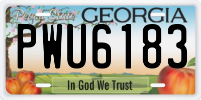 GA license plate PWU6183