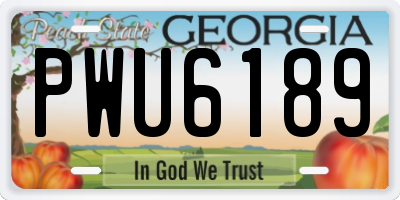 GA license plate PWU6189