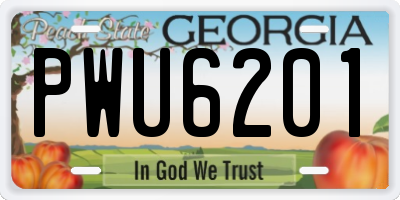 GA license plate PWU6201