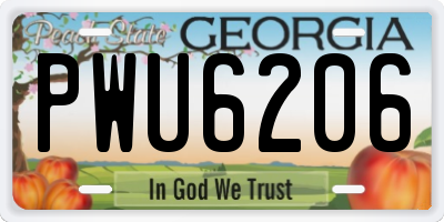 GA license plate PWU6206