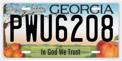 GA license plate PWU6208