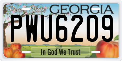 GA license plate PWU6209