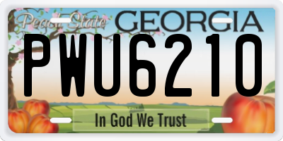 GA license plate PWU6210