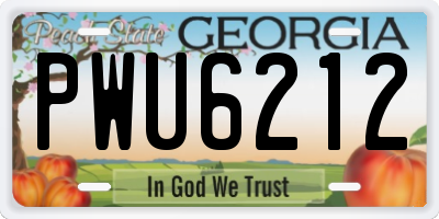 GA license plate PWU6212