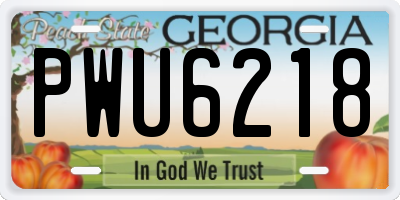 GA license plate PWU6218