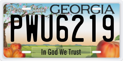 GA license plate PWU6219