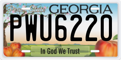 GA license plate PWU6220