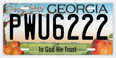 GA license plate PWU6222