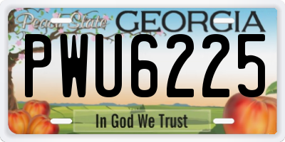 GA license plate PWU6225