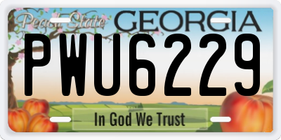 GA license plate PWU6229