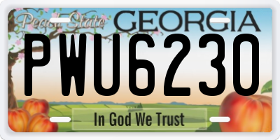 GA license plate PWU6230