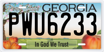 GA license plate PWU6233