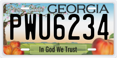 GA license plate PWU6234