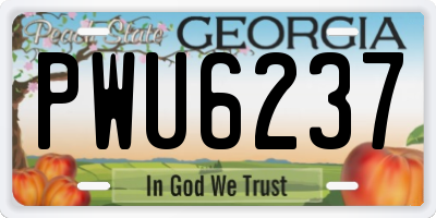 GA license plate PWU6237