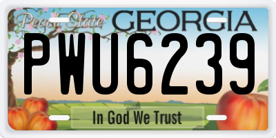 GA license plate PWU6239