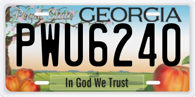 GA license plate PWU6240