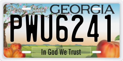 GA license plate PWU6241