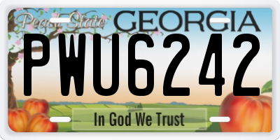 GA license plate PWU6242