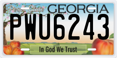 GA license plate PWU6243