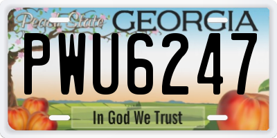 GA license plate PWU6247