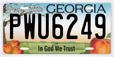 GA license plate PWU6249