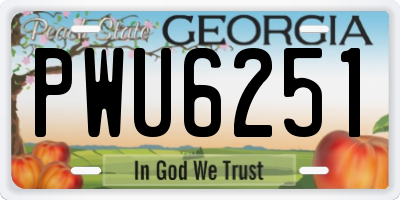 GA license plate PWU6251