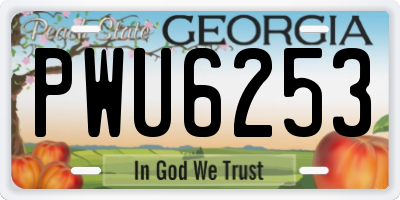 GA license plate PWU6253