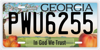 GA license plate PWU6255