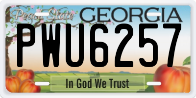 GA license plate PWU6257