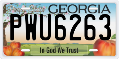 GA license plate PWU6263