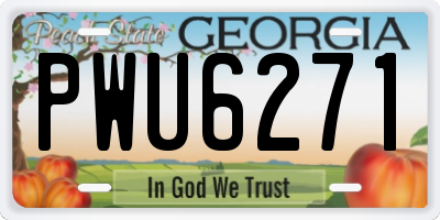 GA license plate PWU6271