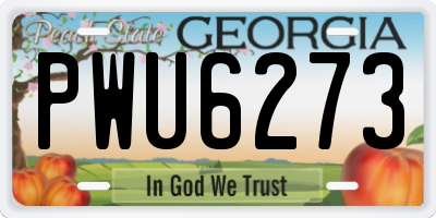 GA license plate PWU6273