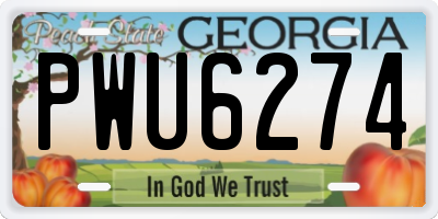GA license plate PWU6274