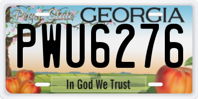 GA license plate PWU6276