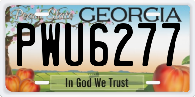 GA license plate PWU6277
