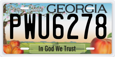 GA license plate PWU6278