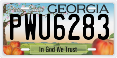 GA license plate PWU6283