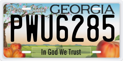 GA license plate PWU6285