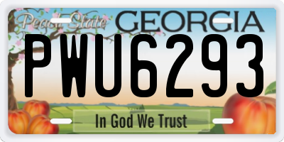 GA license plate PWU6293