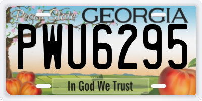 GA license plate PWU6295