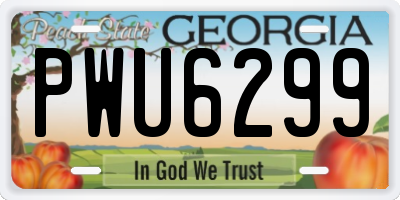 GA license plate PWU6299