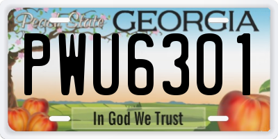 GA license plate PWU6301